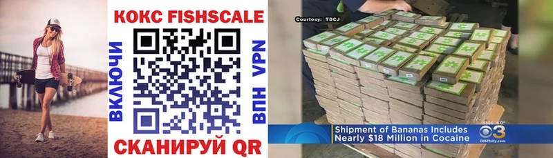цена наркотик  Ростов-на-Дону  hydra ONION  Cocaine FishScale 