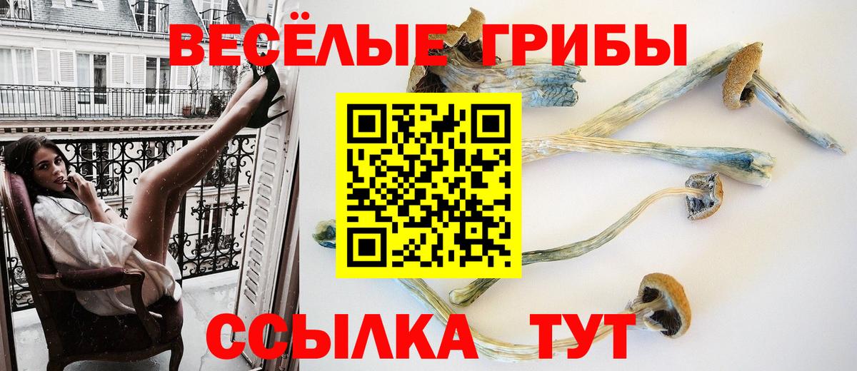 где продают наркотики  Вход с VPN  Ростов-на-Дону  Галлюциногенные грибы ЛСД 