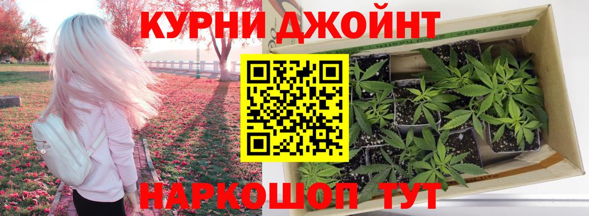 МАРИХУАНА конопля Ростов-на-Дону